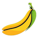 Nano Banana Pro Logo