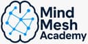 MindMesh Academy Logo
