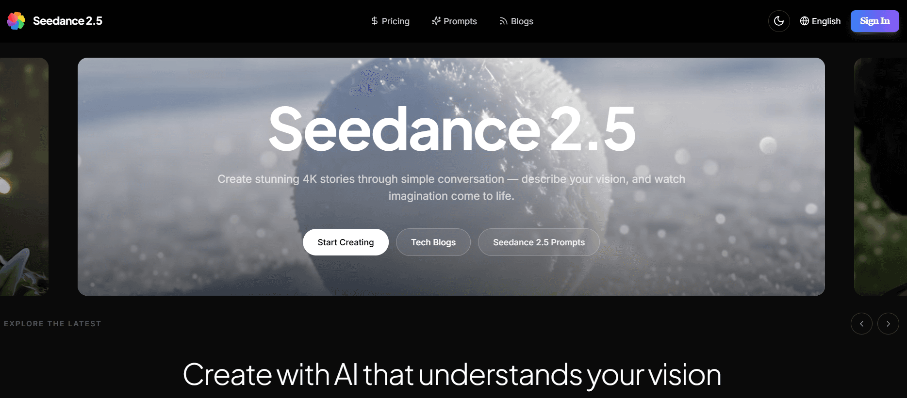 Seedance 2.5 - Product Image