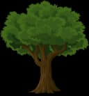 EasySpruce Logo