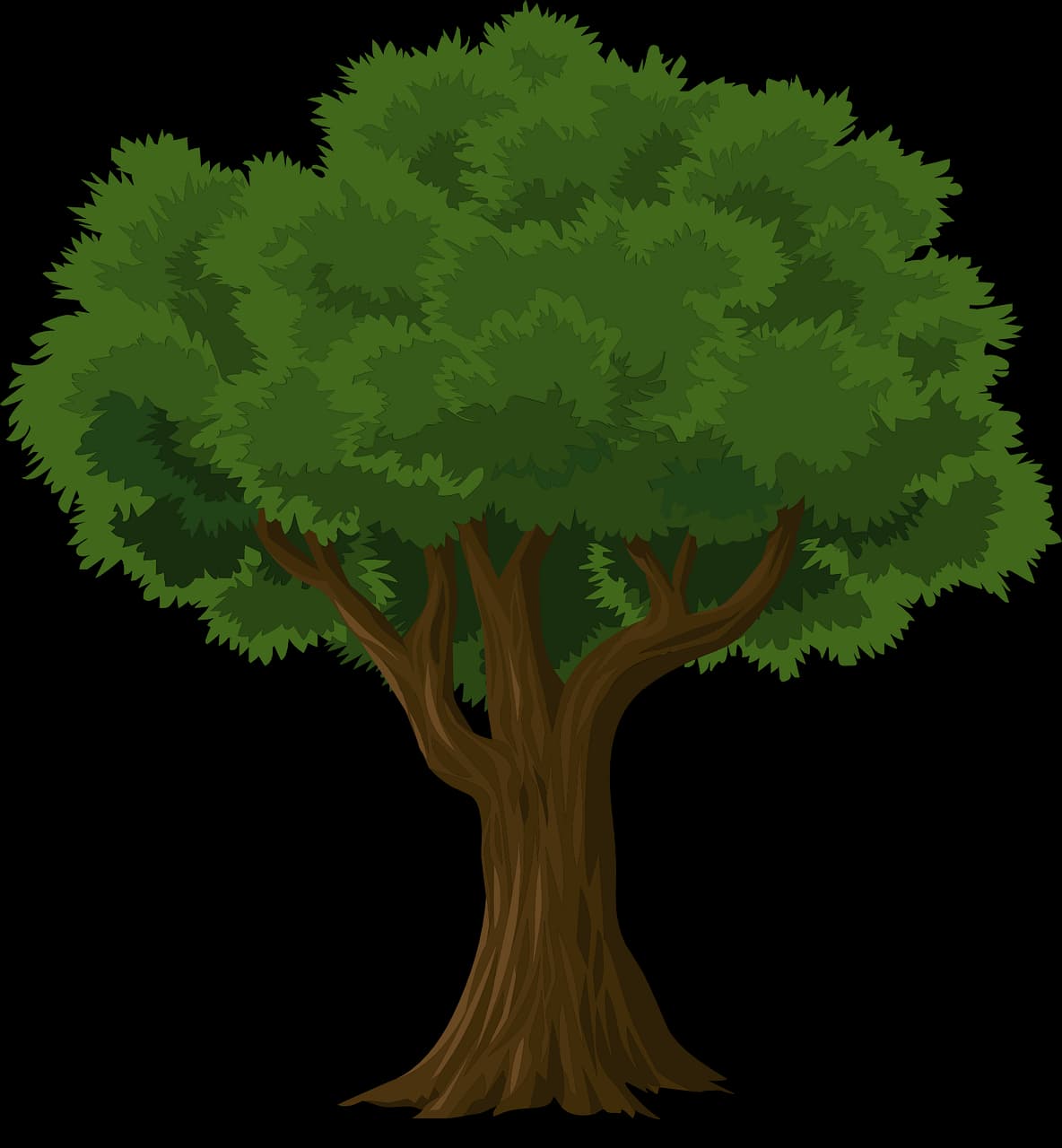 EasySpruce logo