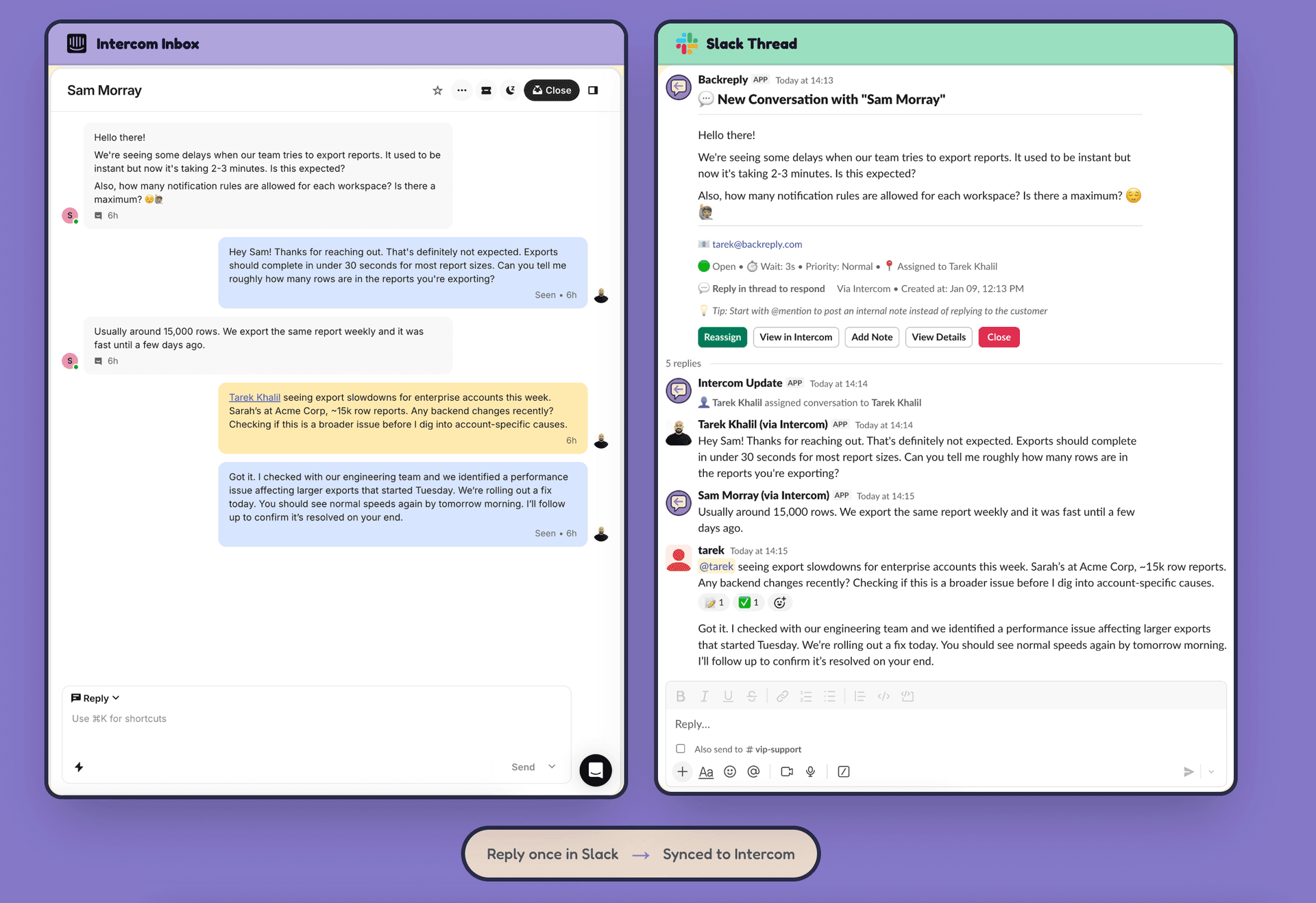 Backreply - Product Image